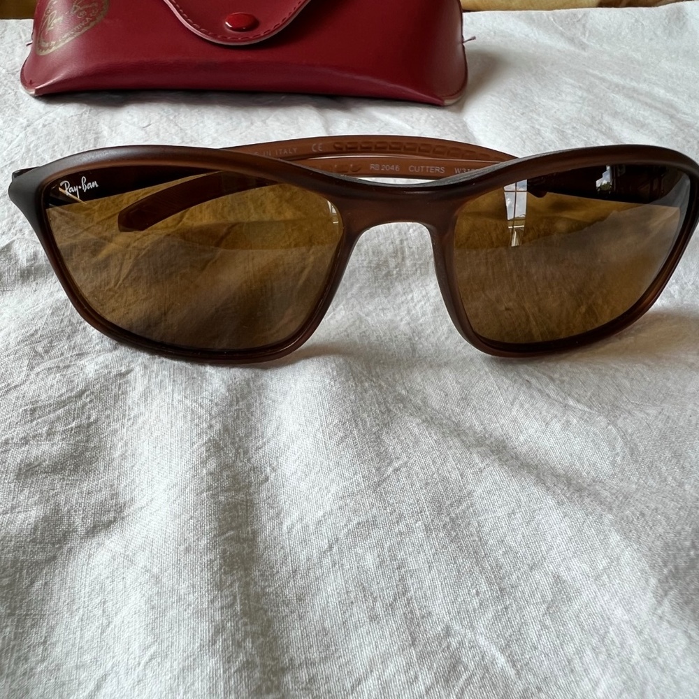 Ray-Ban Brown Frame Brown Lens Women's Sunglasses